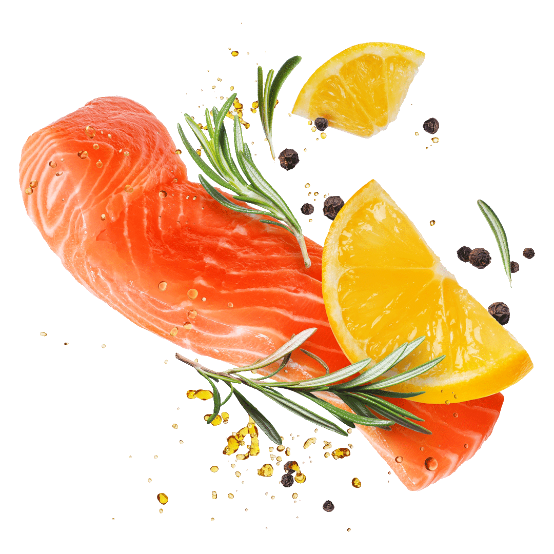 KOSAN-Sushi-fresco